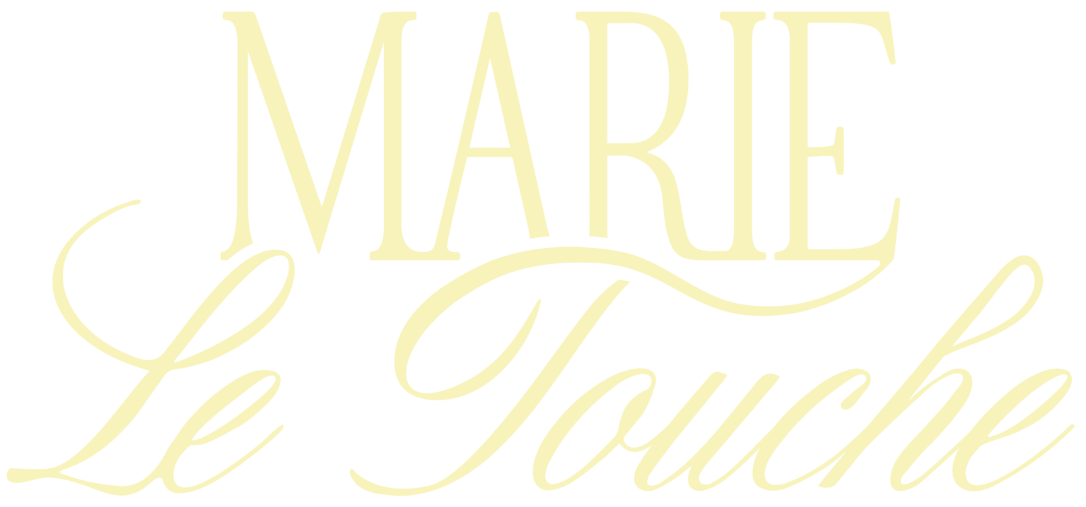 logo_principal_marie-le-touche